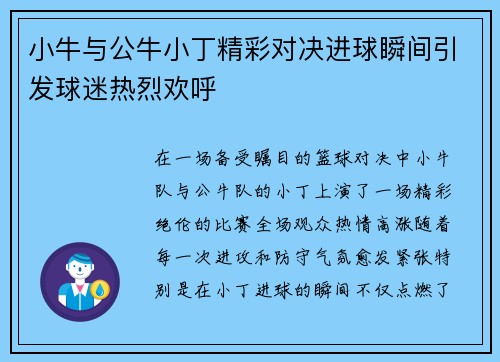 小牛与公牛小丁精彩对决进球瞬间引发球迷热烈欢呼