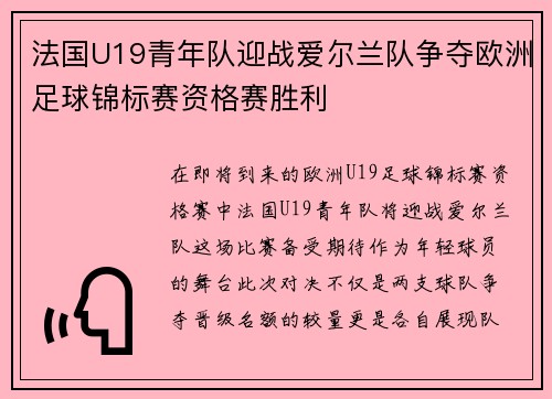 法国U19青年队迎战爱尔兰队争夺欧洲足球锦标赛资格赛胜利