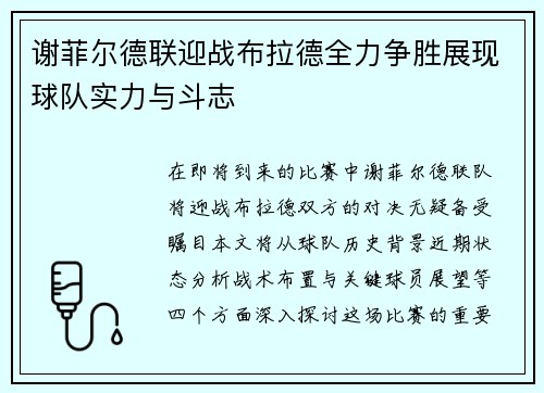 谢菲尔德联迎战布拉德全力争胜展现球队实力与斗志