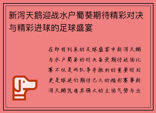 新泻天鹅迎战水户蜀葵期待精彩对决与精彩进球的足球盛宴